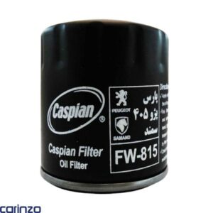 فیلتر روغن کاسپین مدل FW-815 مناسب برای پژو پارس پژو 405 سمند و زانتیا